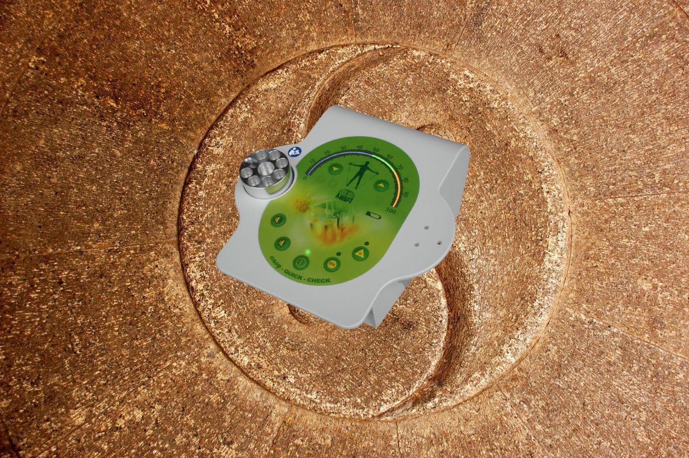 Elektroakupunktur nach Voll MBA Easy Quickcheck S 33551de0 - Bioresonanz versus Elektroakupunktur