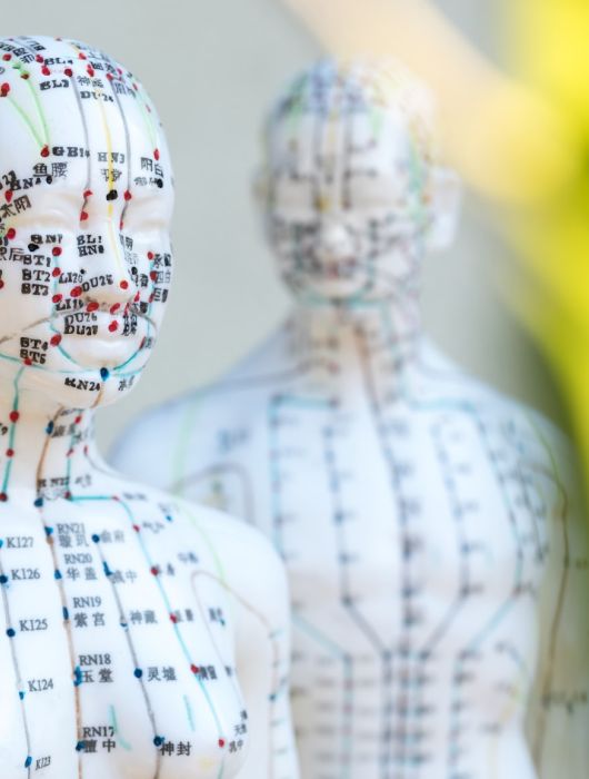 Heilpraktiker Akupunktur ohne Nadeln Augsburg bd2592b4 - Bioresonanz