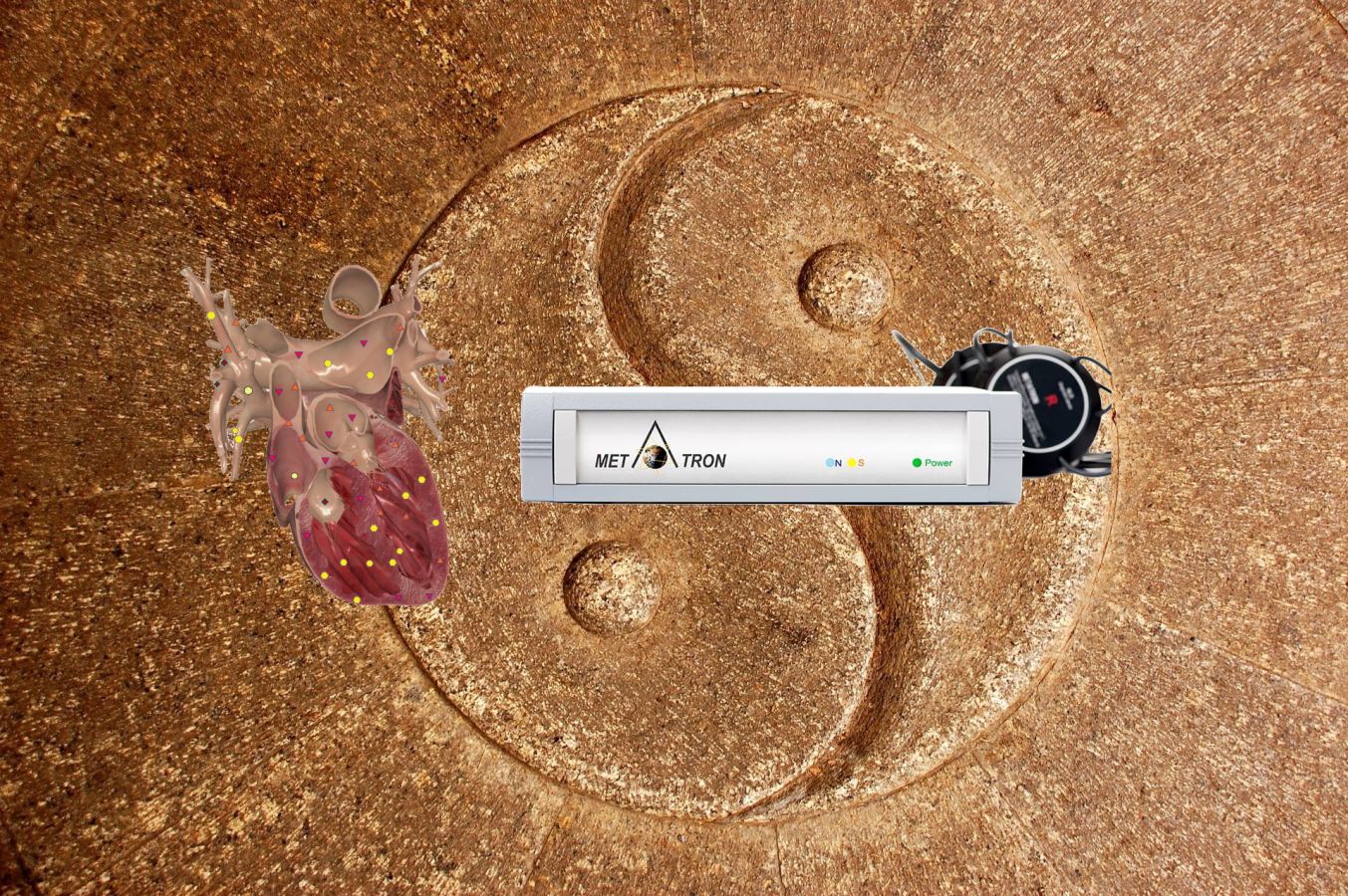 NLS Diagnose Metatron Hospital Vitages 7 14601014 - Bioresonanz versus Elektroakupunktur