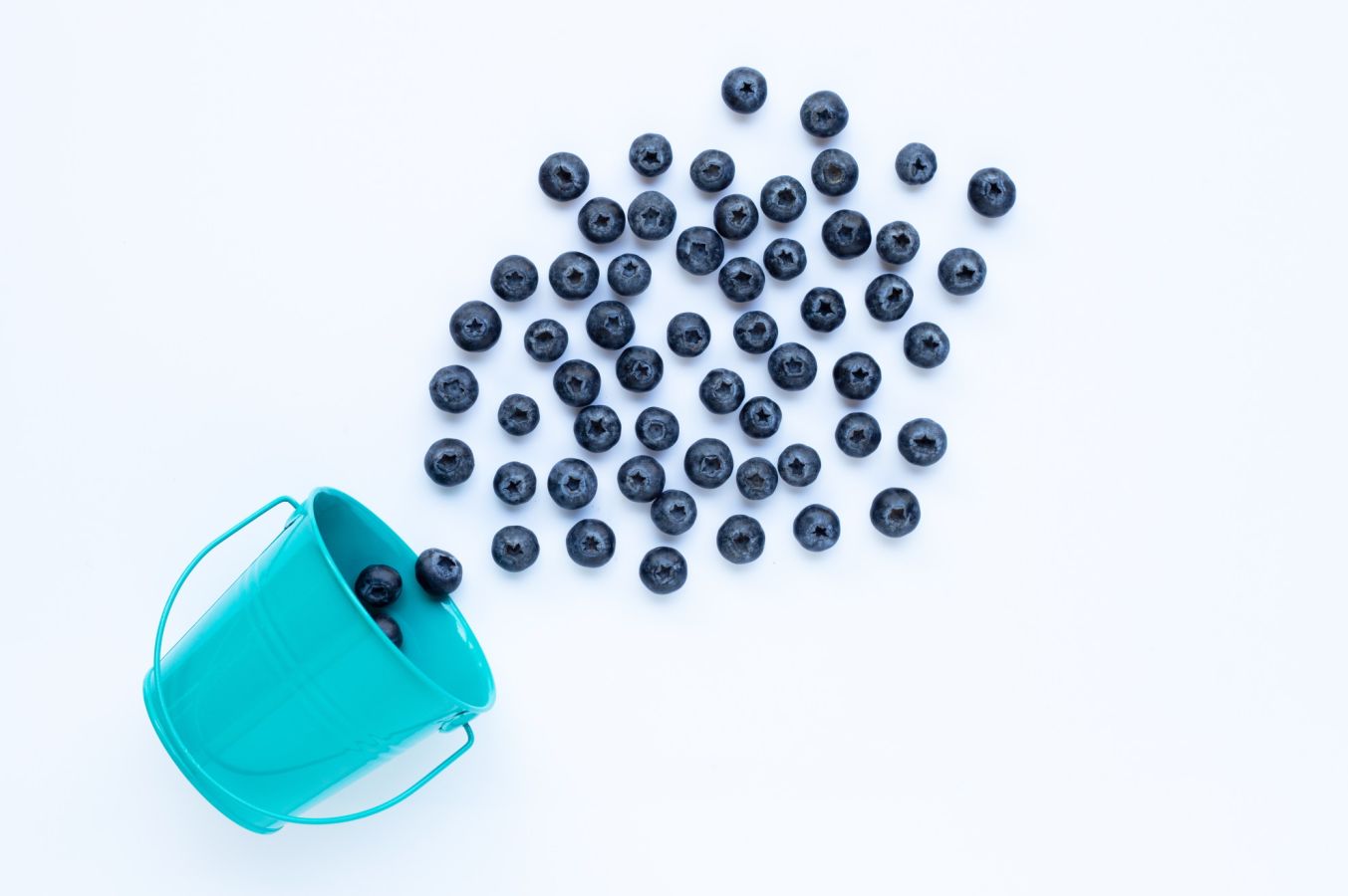 Orthomolekulare Therapie Flavonoide 593d3147 - Orthomolekulare Therapie