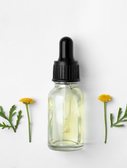 Phytotherapie Naturheilpraxis Augsburg 342aa728 - Die Phytotherapie