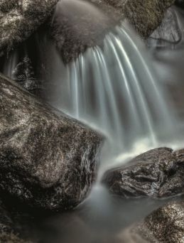 Sanft Heilen Stark im Leben 983729de - Lowen Systems - und die Arbeit mit den Händen