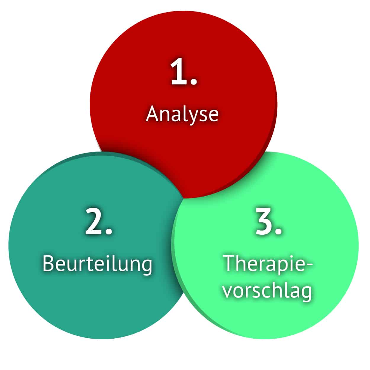Diagnose Labordiagnose Biodiagnostik Naturheilpraxis Rauch