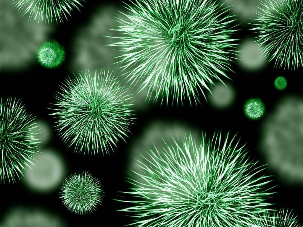 pixabay kostenlos bacteria g3169d5df5 1920 1024x768 - Therapieschwerpunkt Allergie